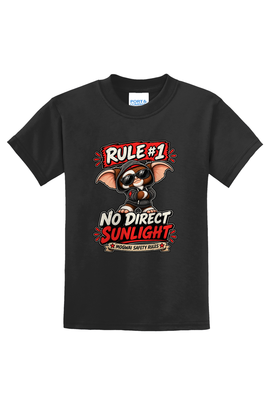 Rule 1 No Direct Sunlight T-Shirt - gray