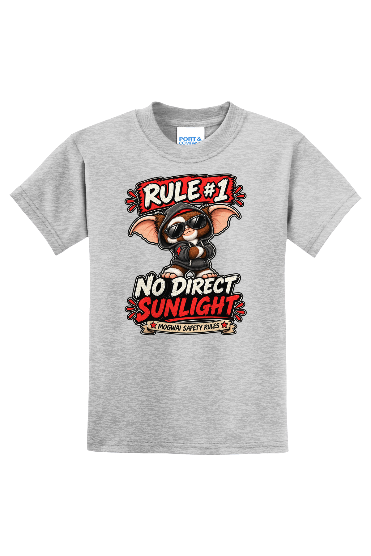 Rule 1 No Direct Sunlight T-Shirt - gray