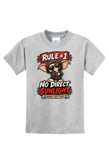Rule 1 No Direct Sunlight T-Shirt - gray