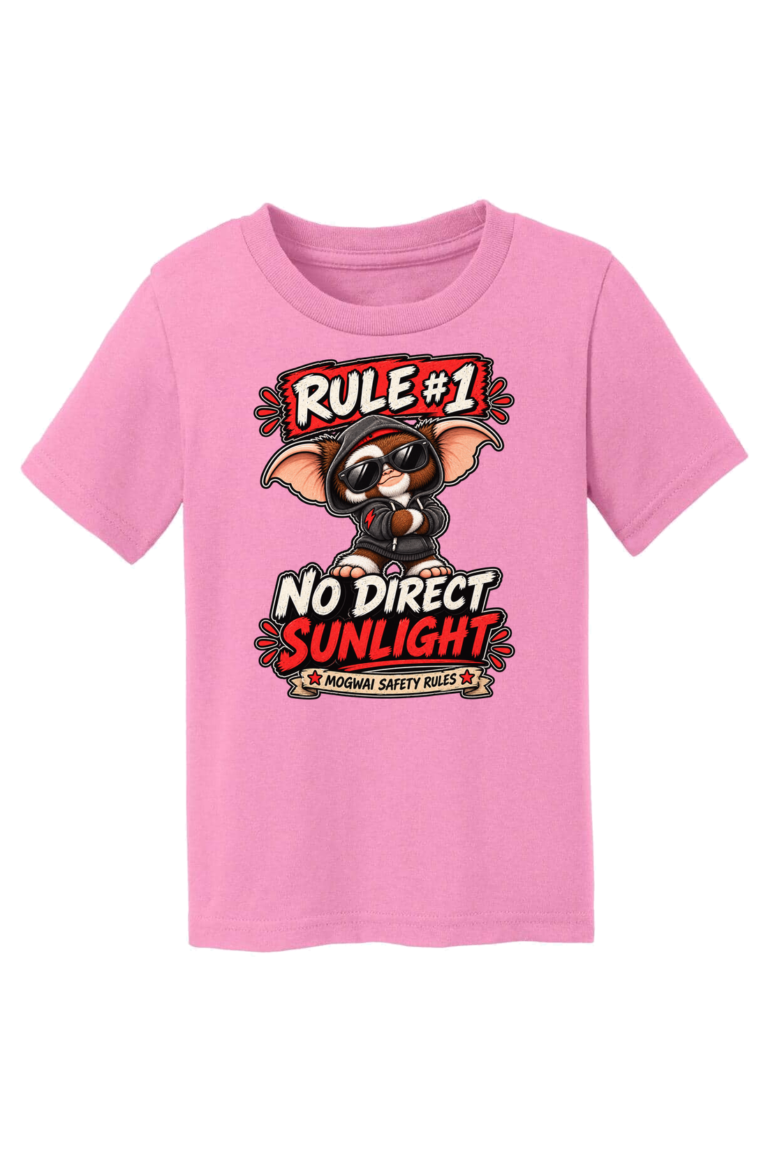 Rule 1 No Direct Sunlight T-Shirt - gray